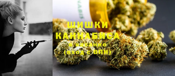 мдпв Майский